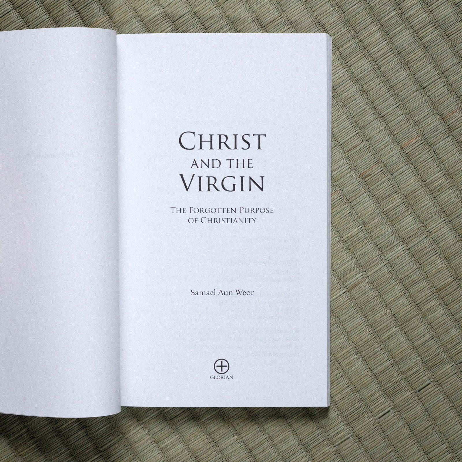 Christ and the Virgin