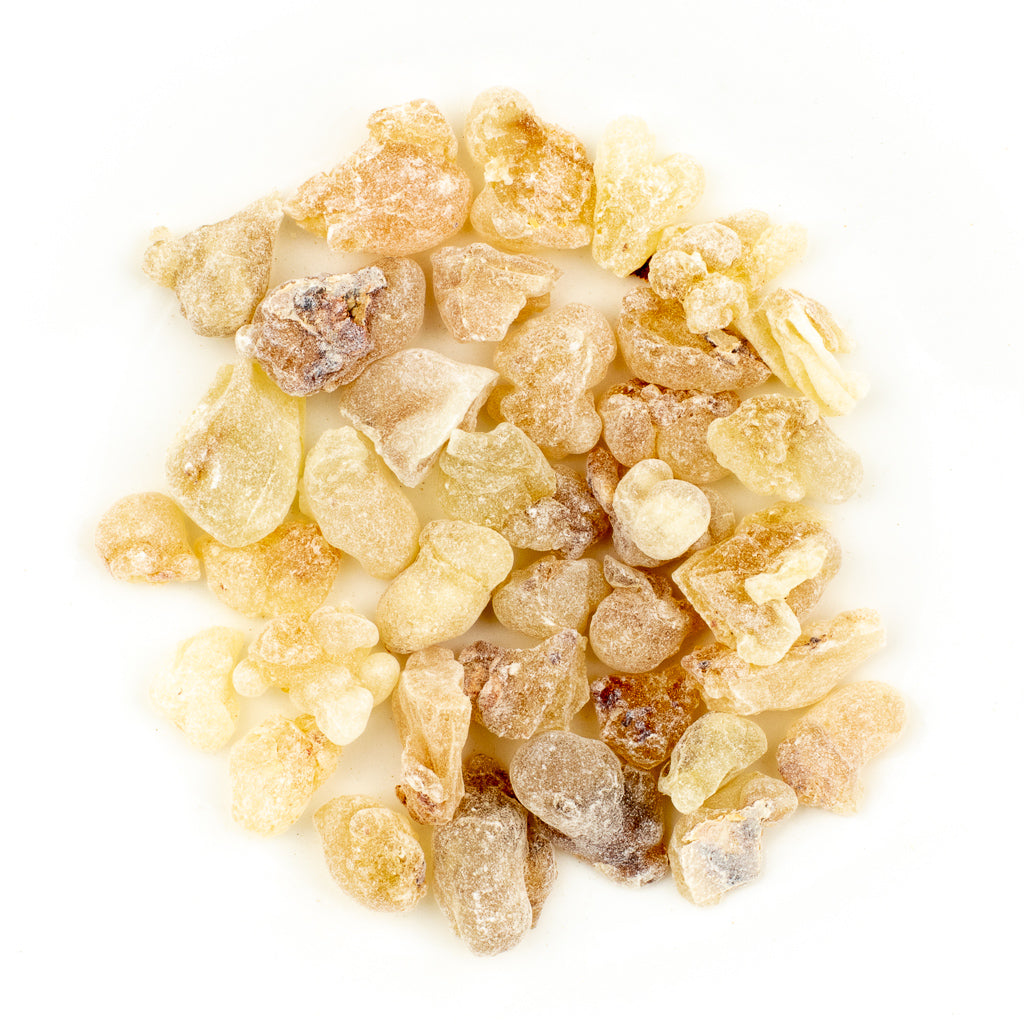A variety of small, irregular First Grade Hojary Frankincense Resin pieces from Oman are scattered on a white surface, displaying shades of beige, yellow, and pale brown.