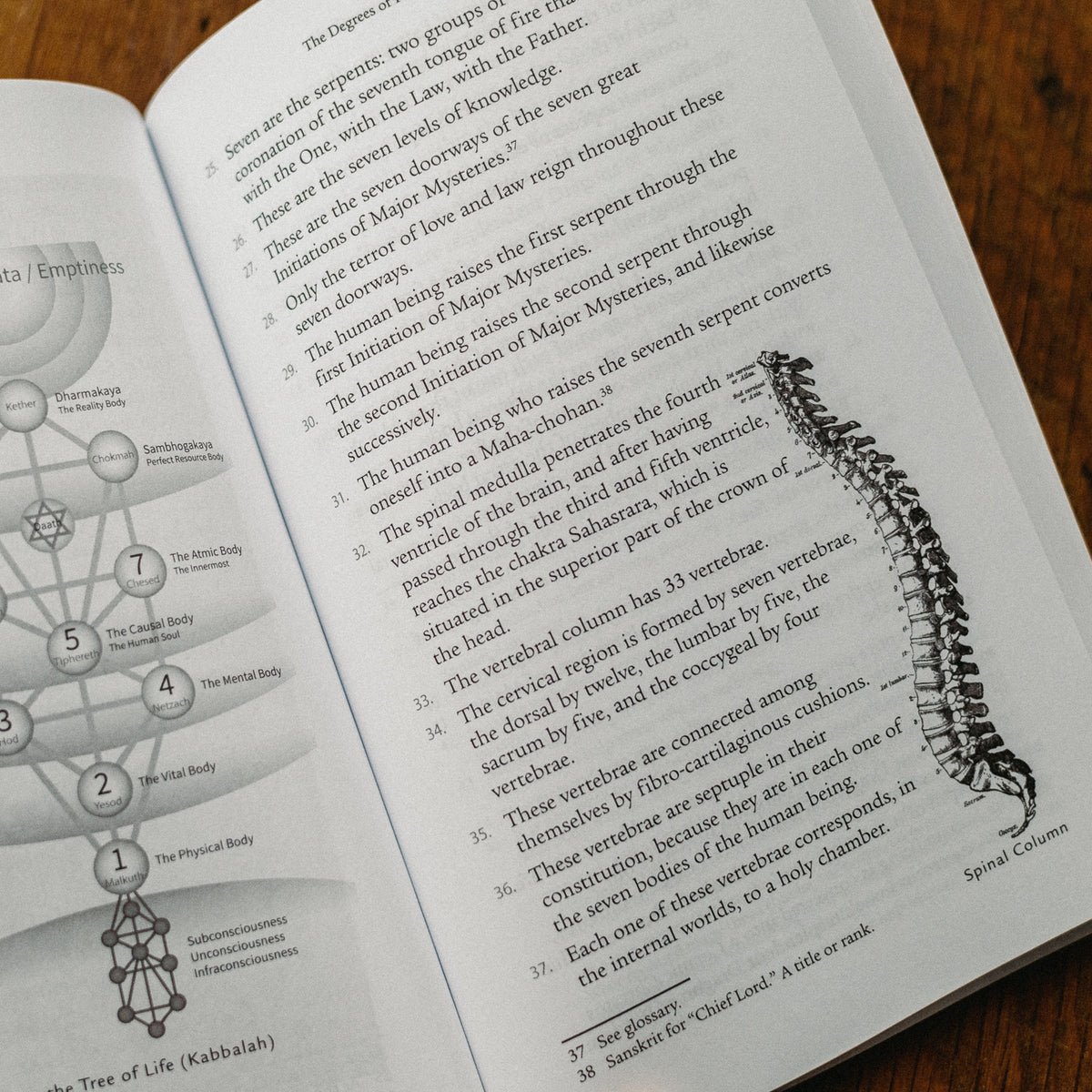 An open book reveals a page with intriguing details about the human spine. On the right, an illustration labeled Spinal Column stands out, while the left showcases a diagram symbolizing spirituality and divine power, titled The Tree of Life (Kabbalah), from Kundalini: The Sacred Fire of All Religions.