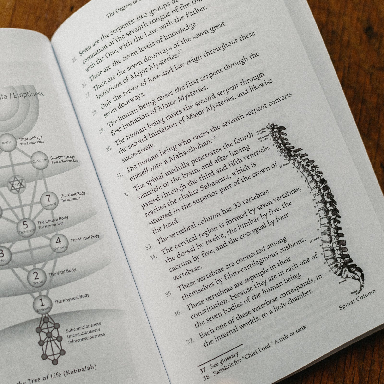 An open book reveals a page with intriguing details about the human spine. On the right, an illustration labeled Spinal Column stands out, while the left showcases a diagram symbolizing spirituality and divine power, titled The Tree of Life (Kabbalah), from Kundalini: The Sacred Fire of All Religions.