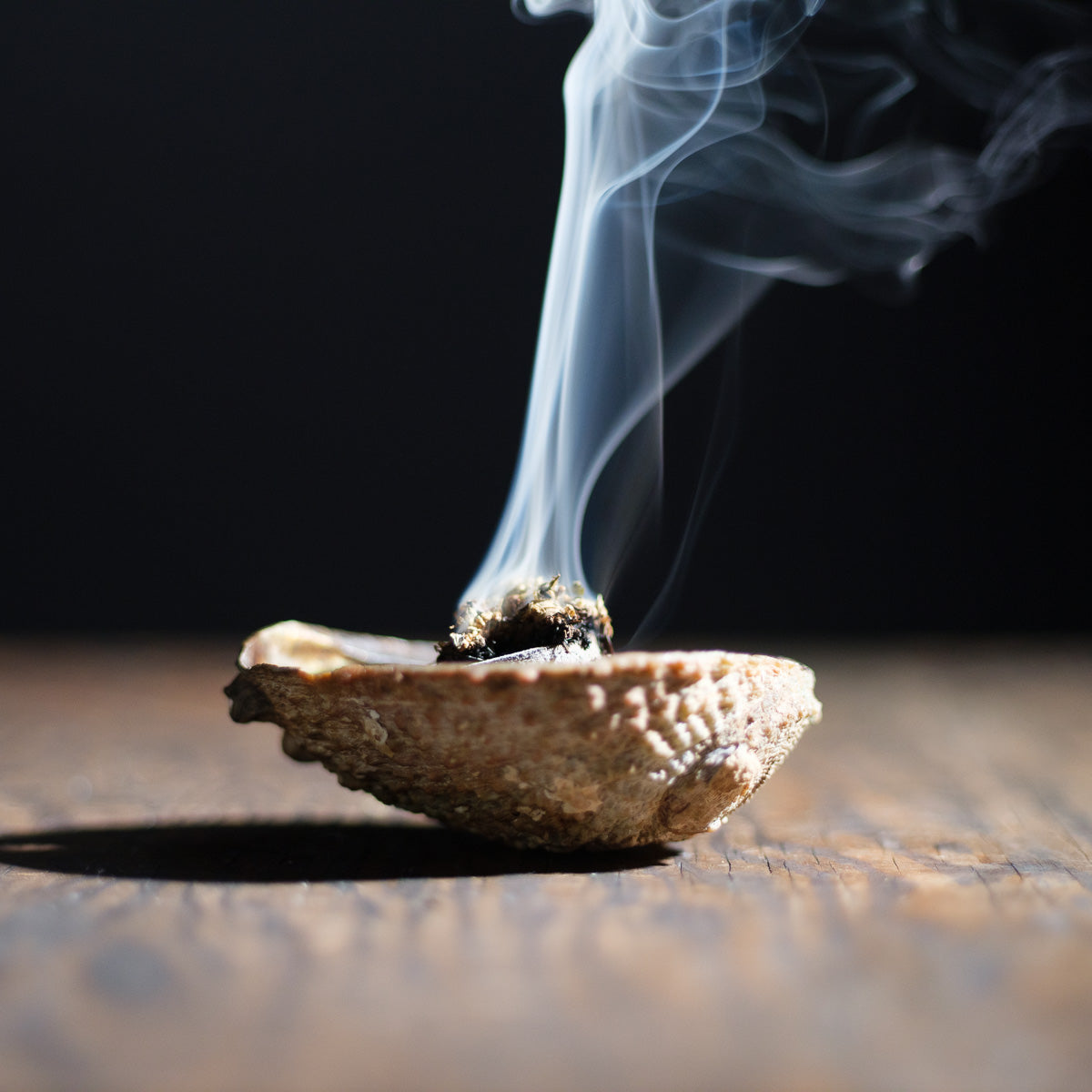 A small incense holder made from a rustic, textured shell rests on a wooden surface. Thin tendrils of white smoke rise gracefully from the burning Black Sage (Mugwort) Loose inside, casting delicate shadows against a dark background.