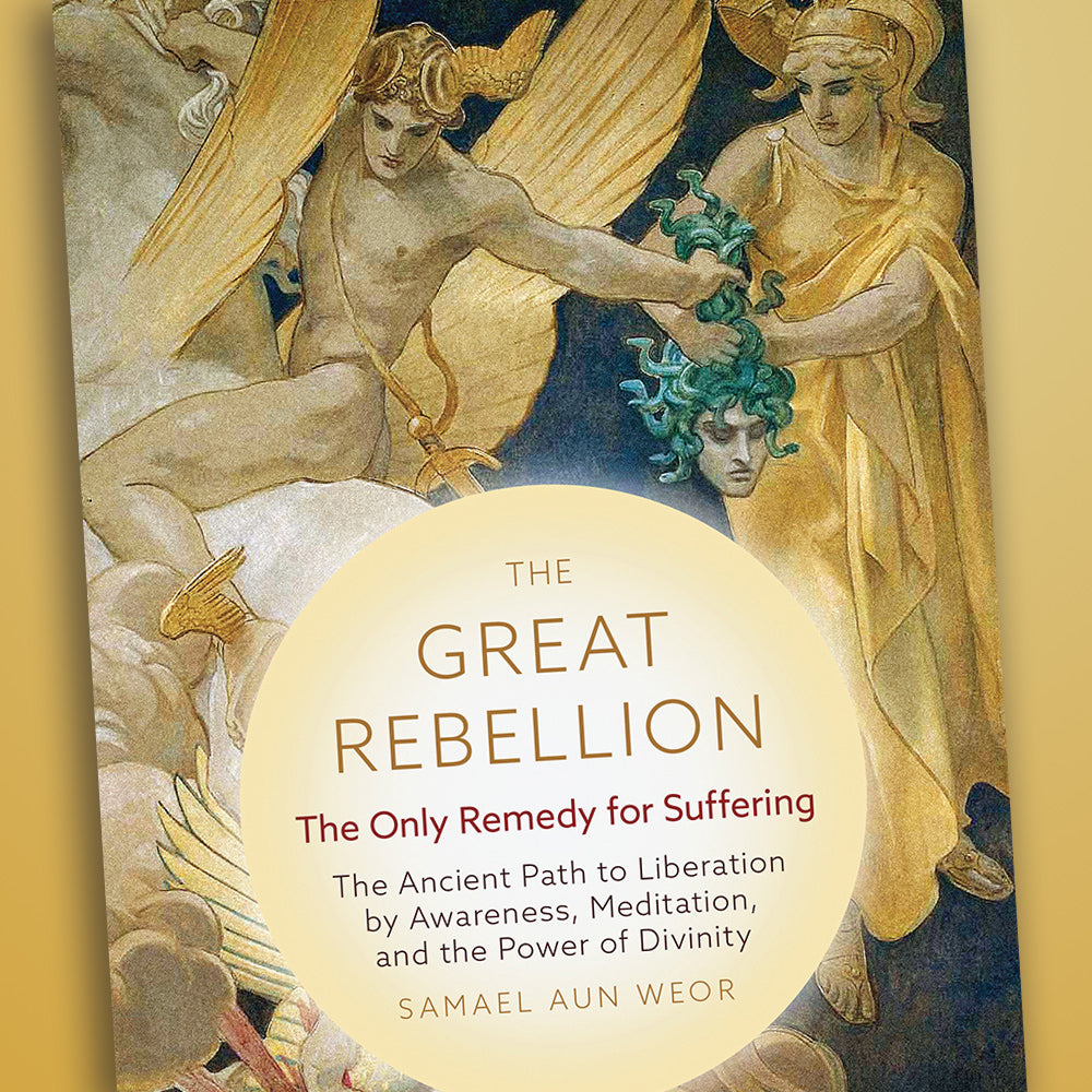 Book cover of 'The Great Rebellion' with classical design elements