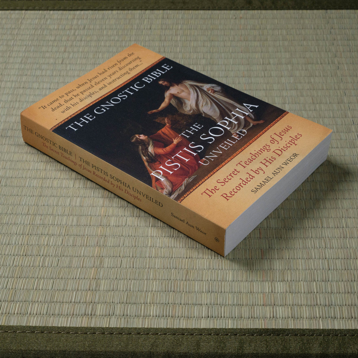 Gnostic Bible: The Pistis Sophia Unveiled