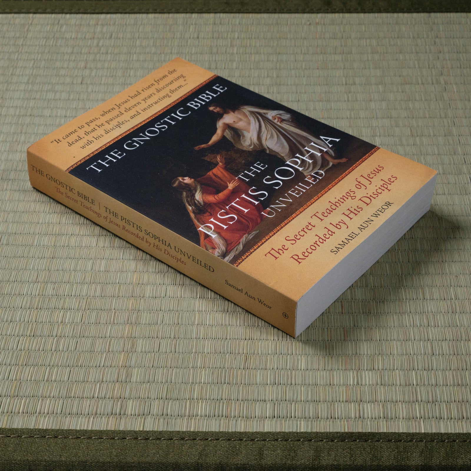 Gnostic Bible: The Pistis Sophia Unveiled