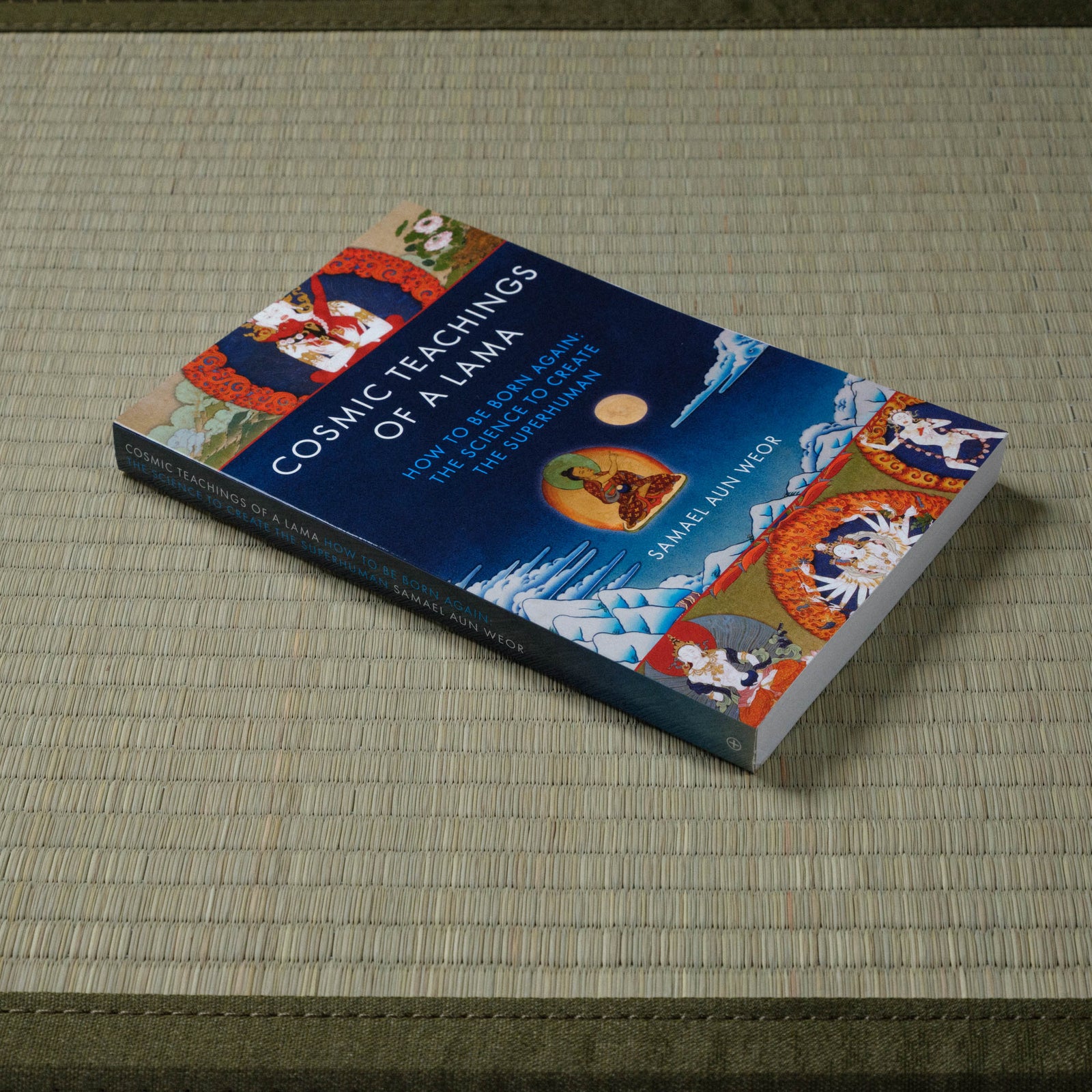 Cosmic Teachings of a Lama