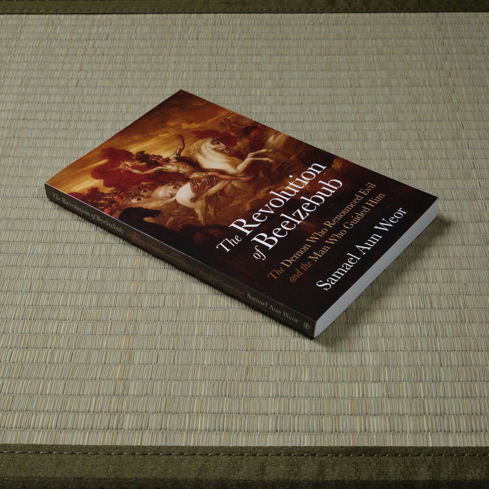 Revolution of Beelzebub