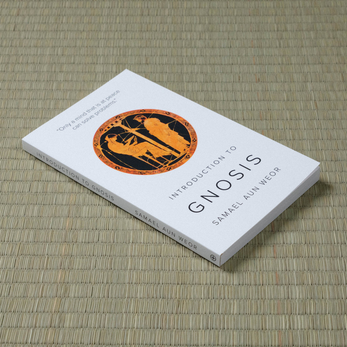 Introduction to Gnosis