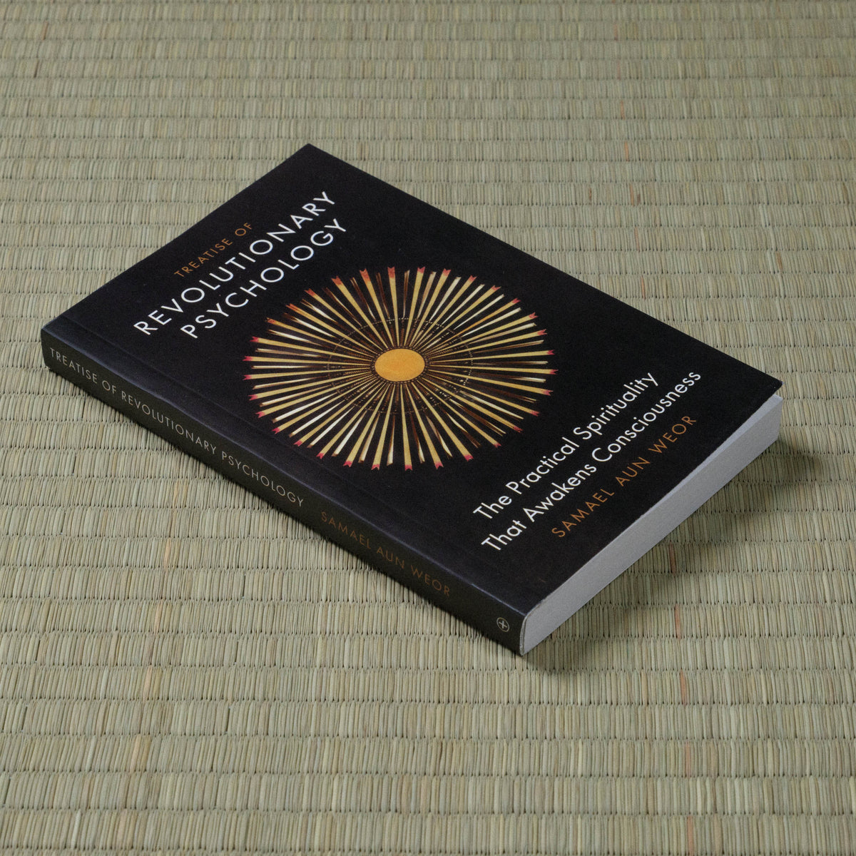 Treatise of Revolutionary Psychology