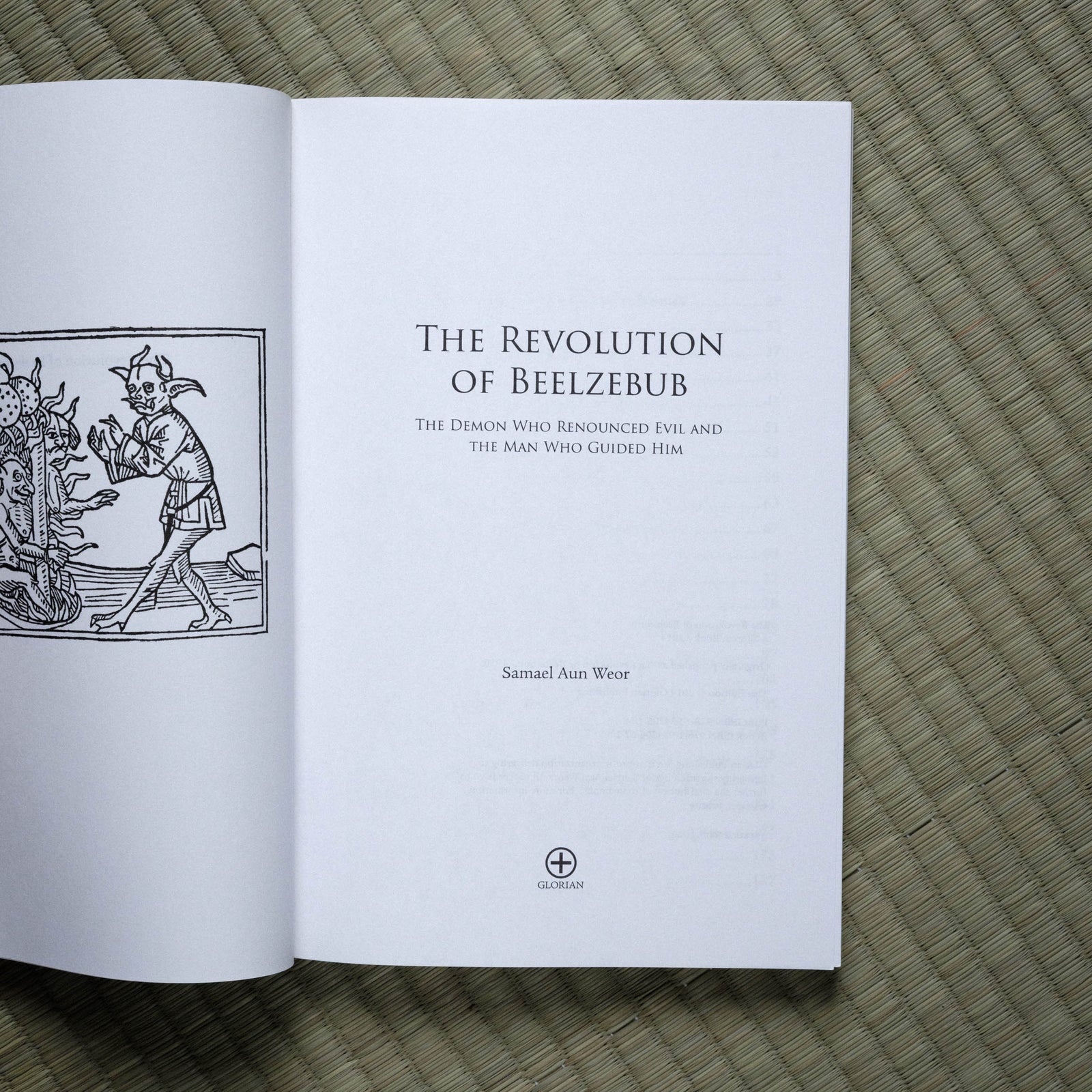 Revolution of Beelzebub