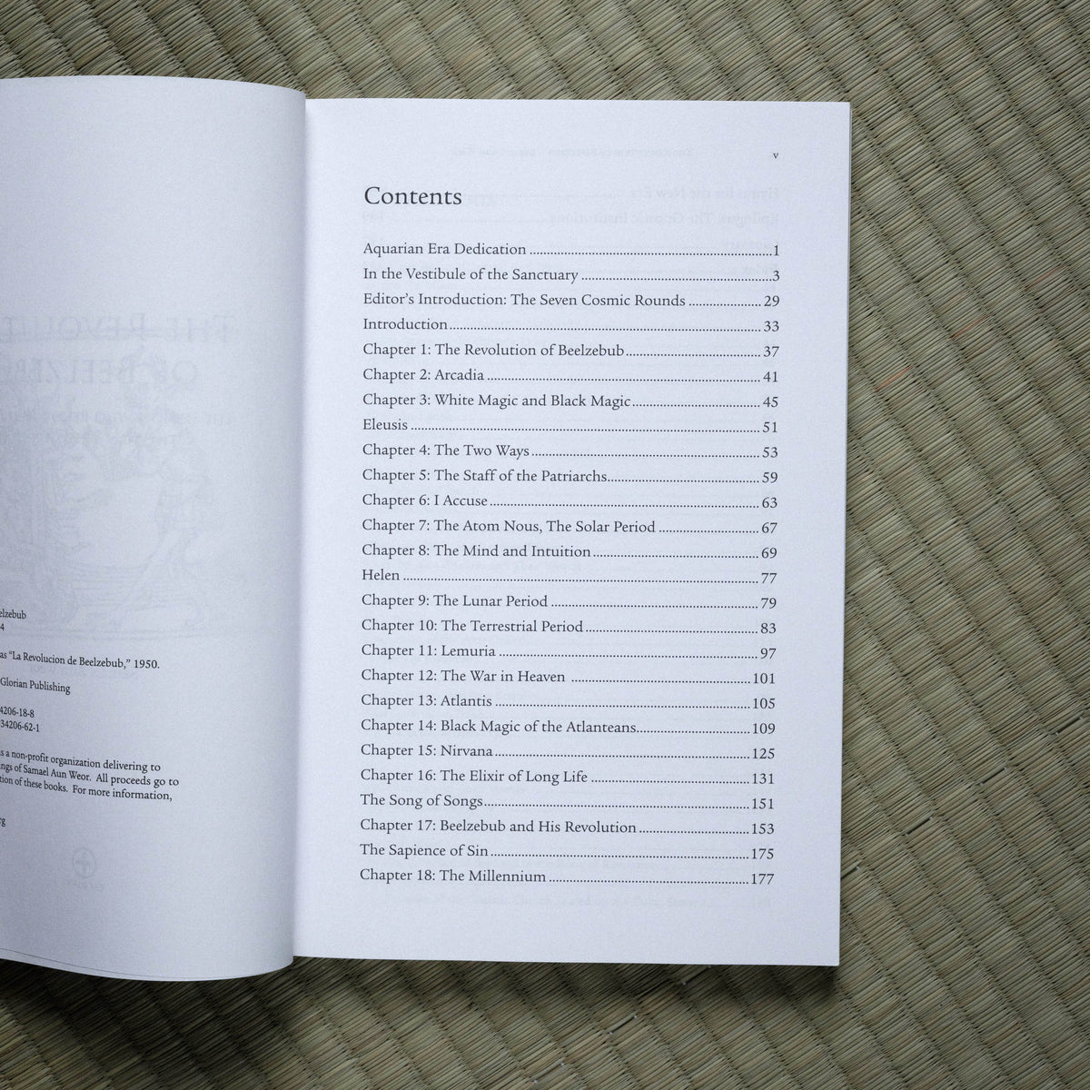 Revolution of Beelzebub