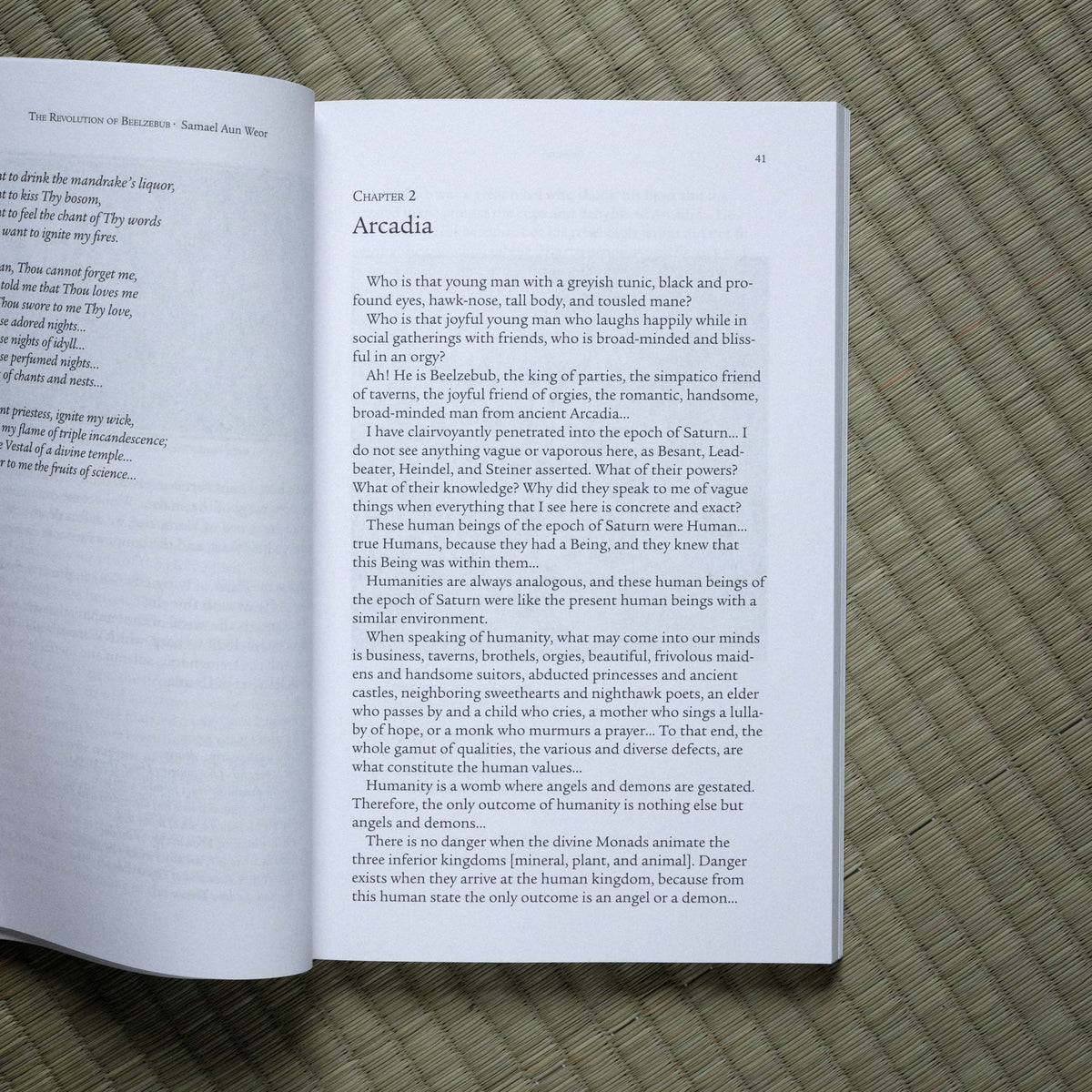 Revolution of Beelzebub