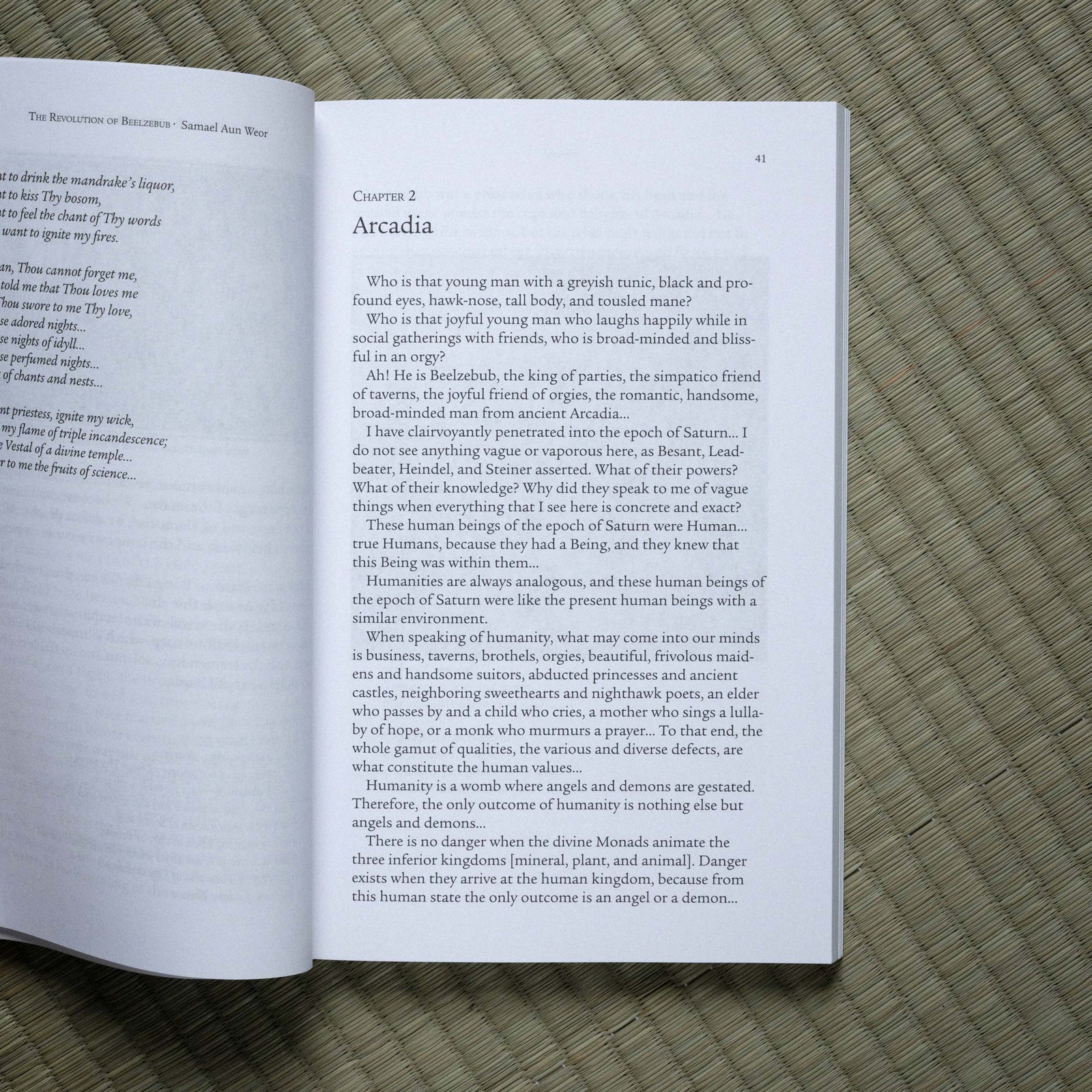 Revolution of Beelzebub