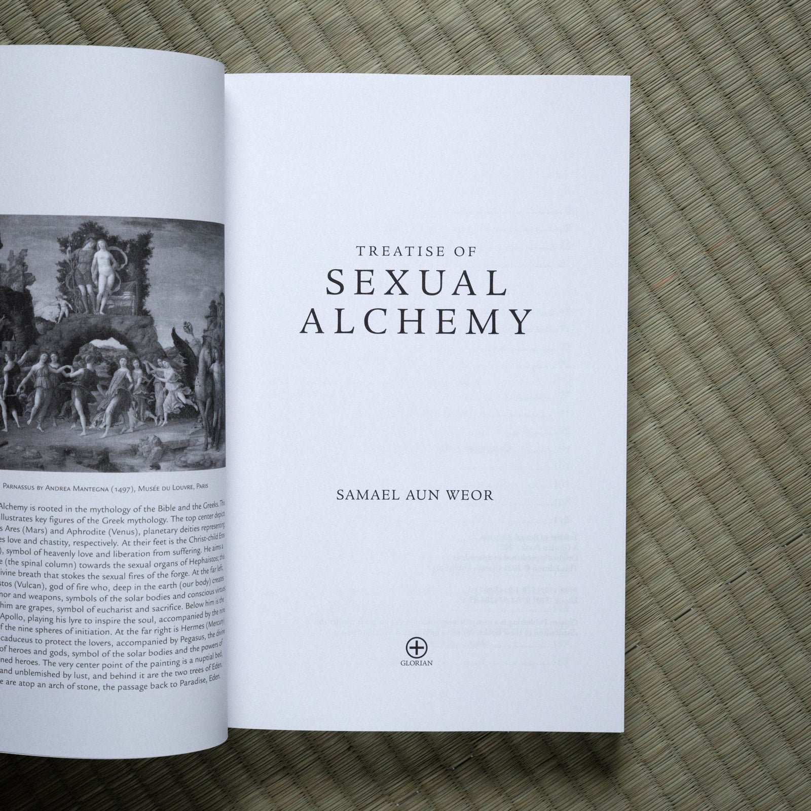 Treatise of Sexual Alchemy