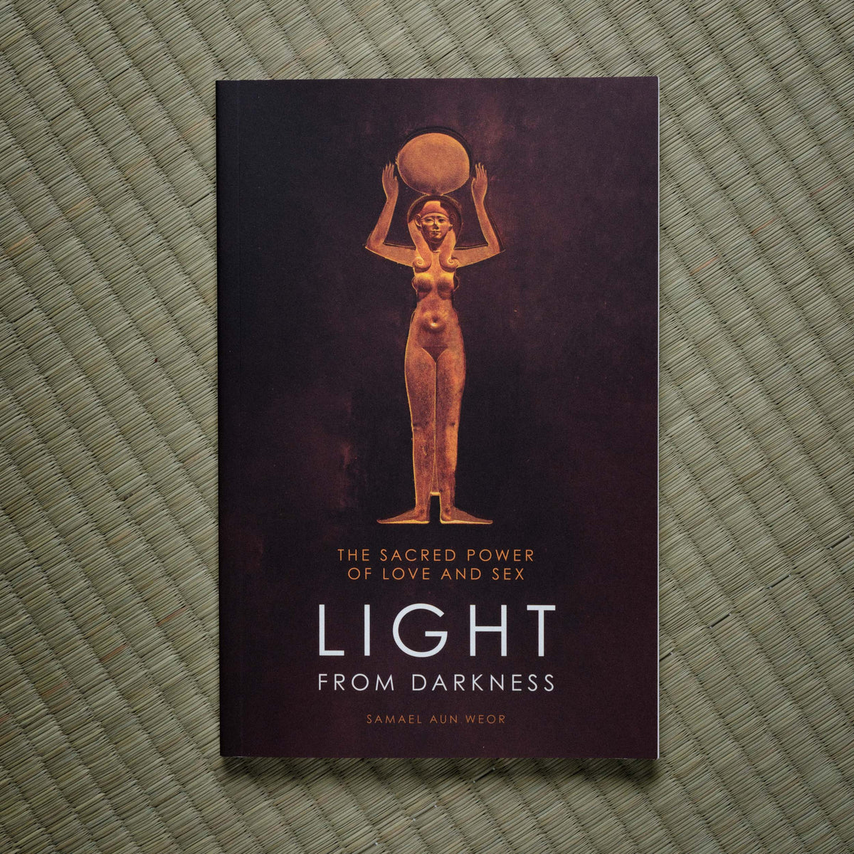 Book cover of 'Light from Darkness' on a textured green surface