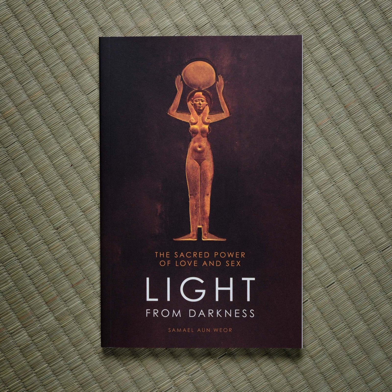 Book cover of 'Light from Darkness' on a textured green surface