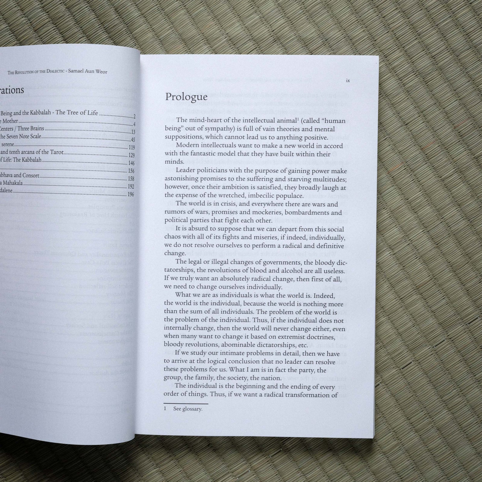 Revolution of the Dialectic