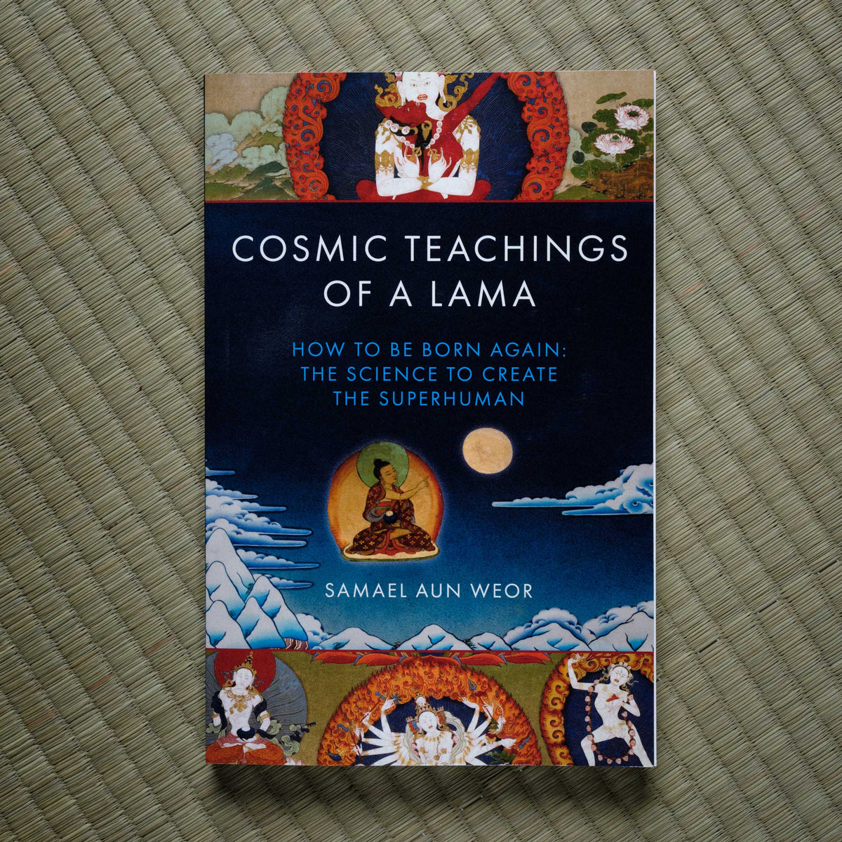 Cosmic Teachings of a Lama