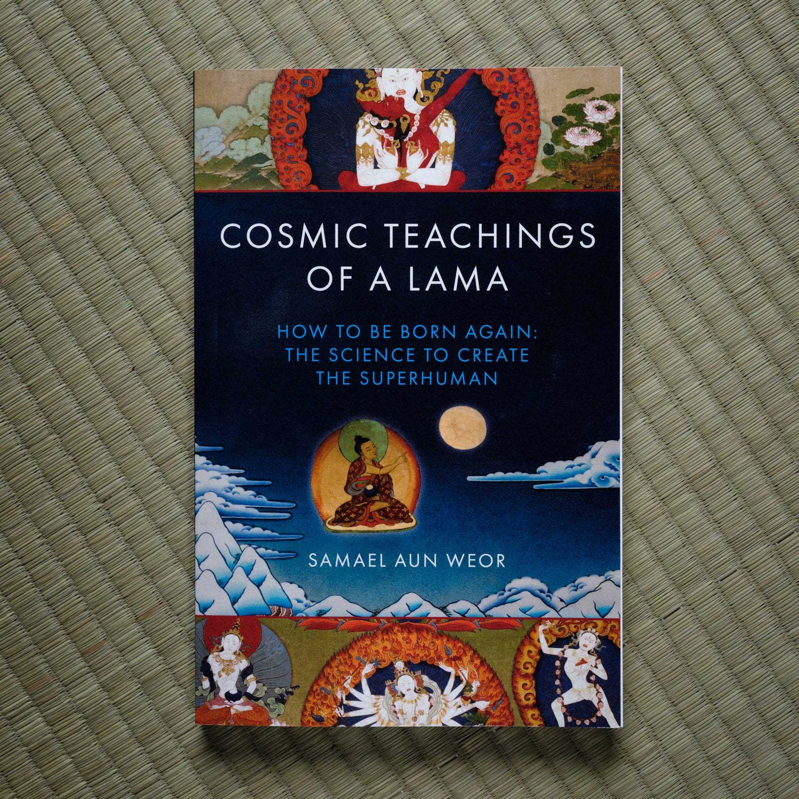 Cosmic Teachings of a Lama