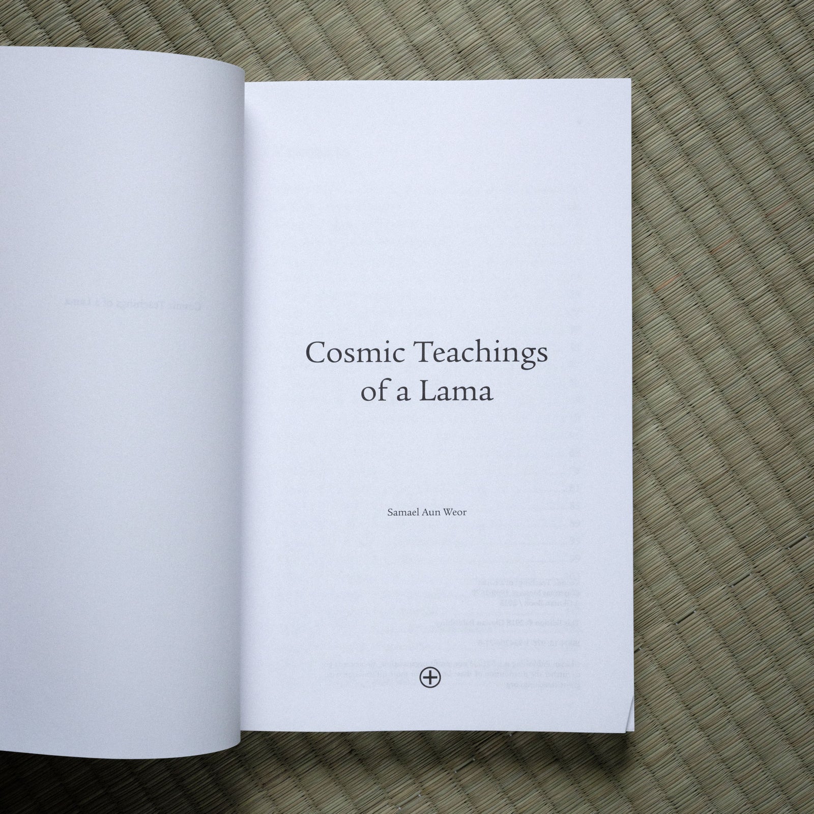 Cosmic Teachings of a Lama