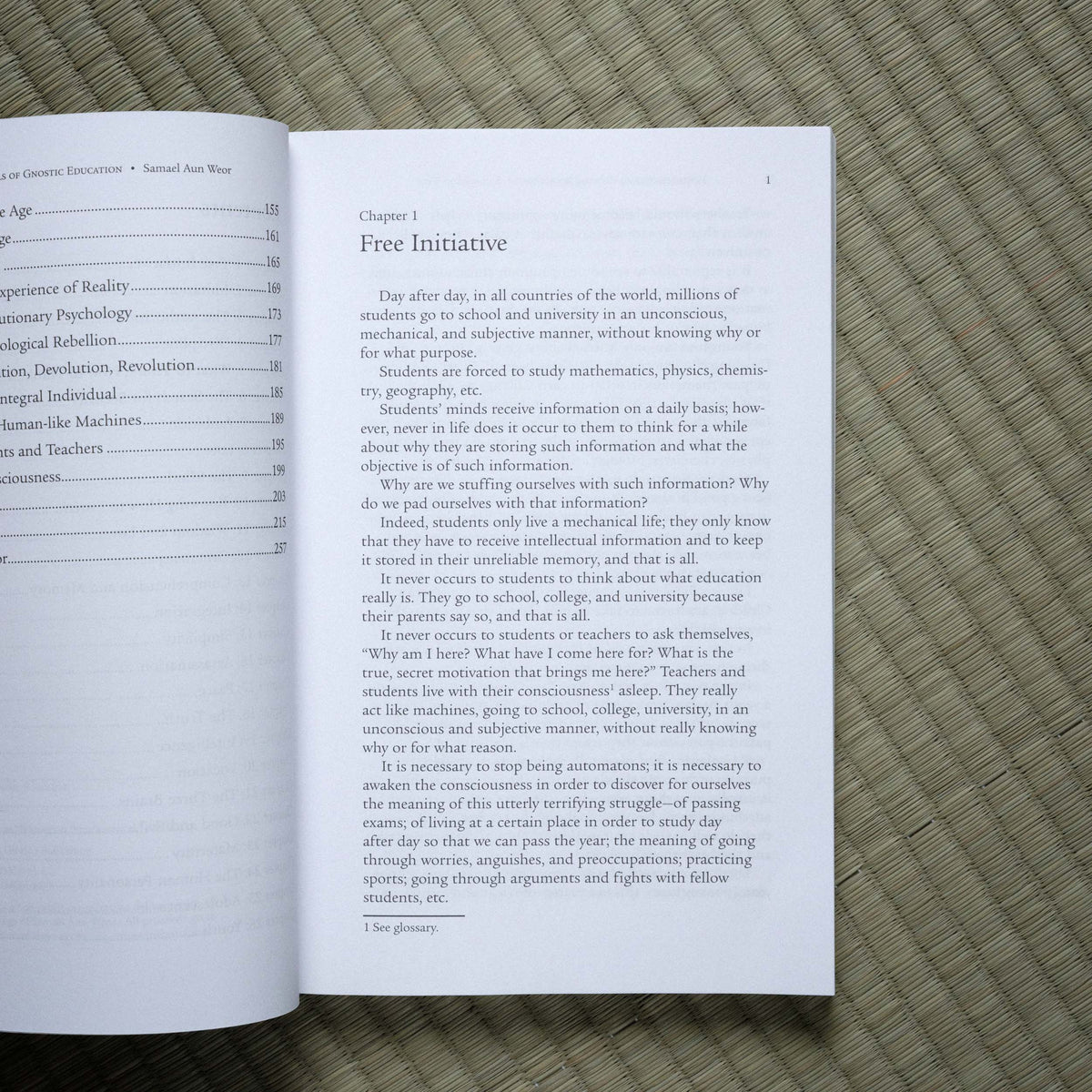 Fundamentals of Gnostic Education