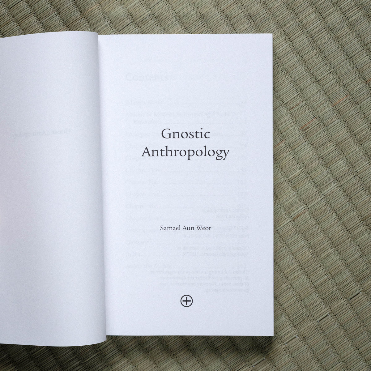 Gnostic Anthropology