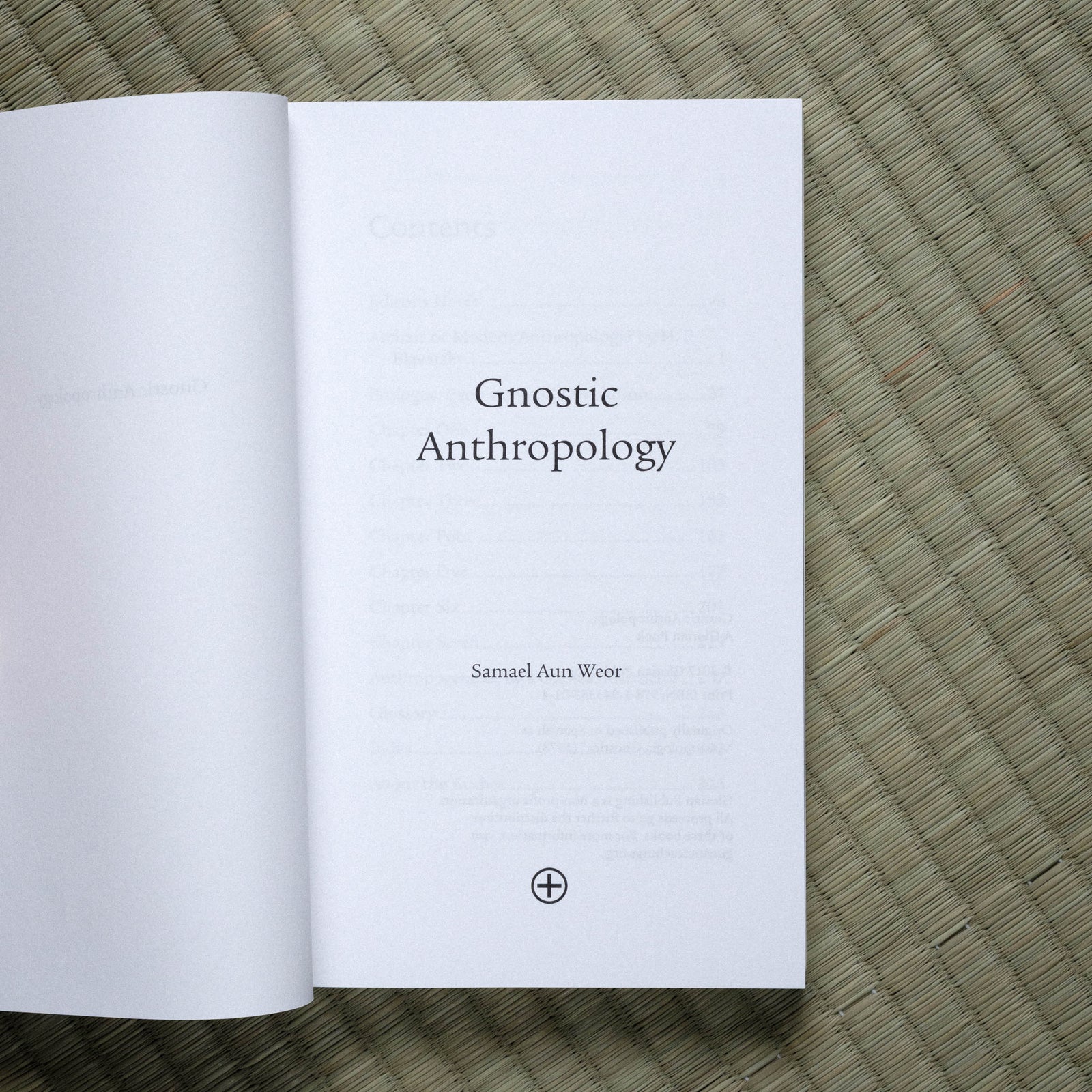 Gnostic Anthropology