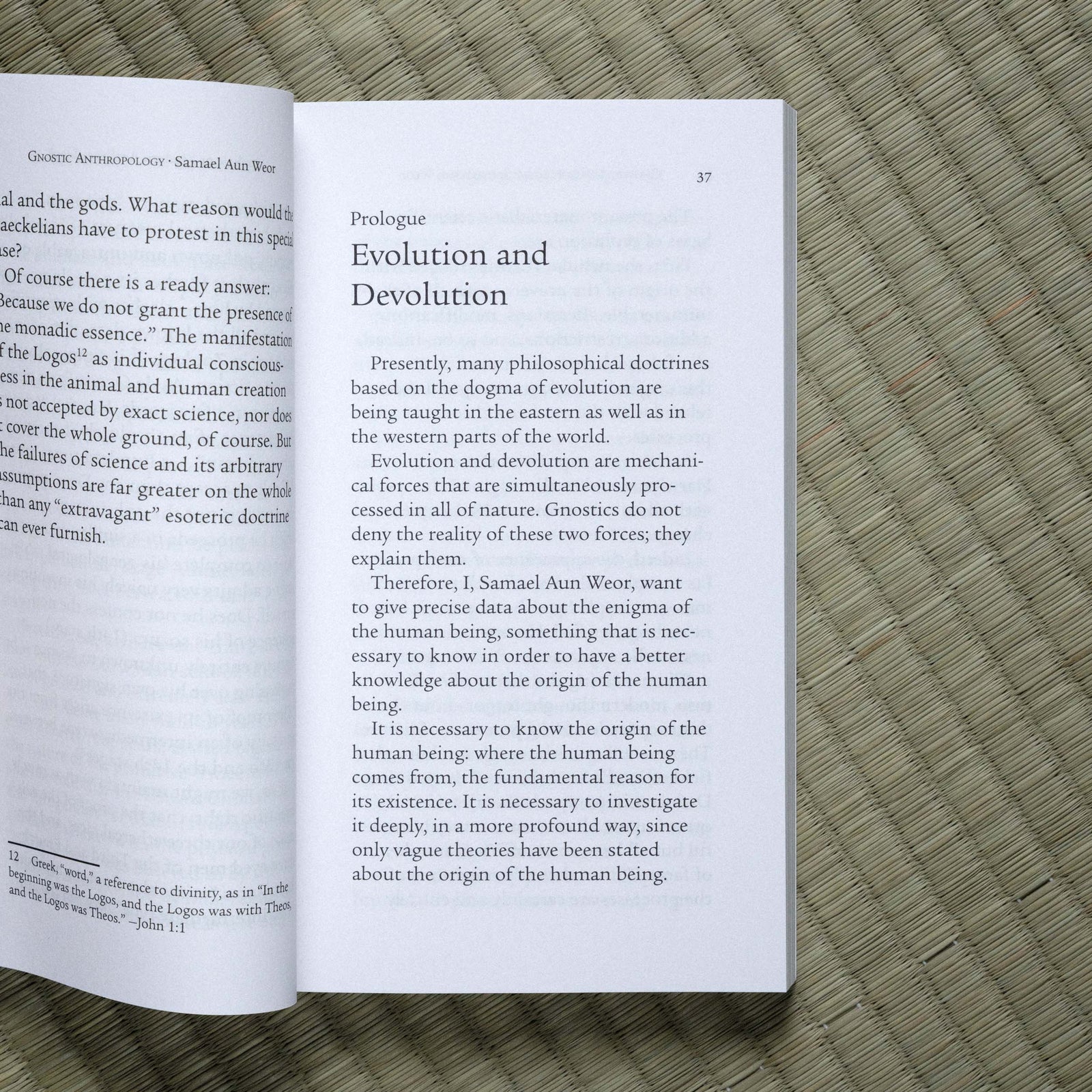 Gnostic Anthropology