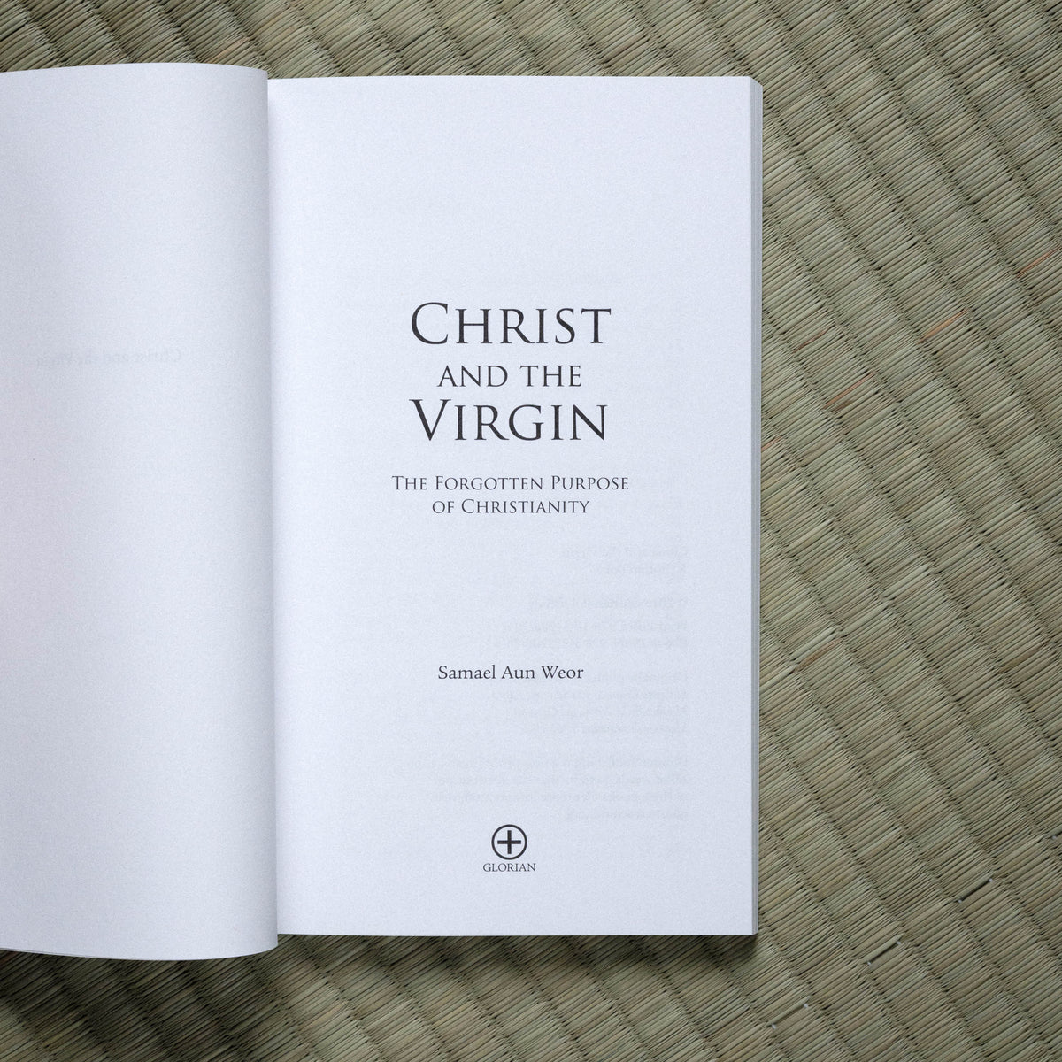 Christ and the Virgin