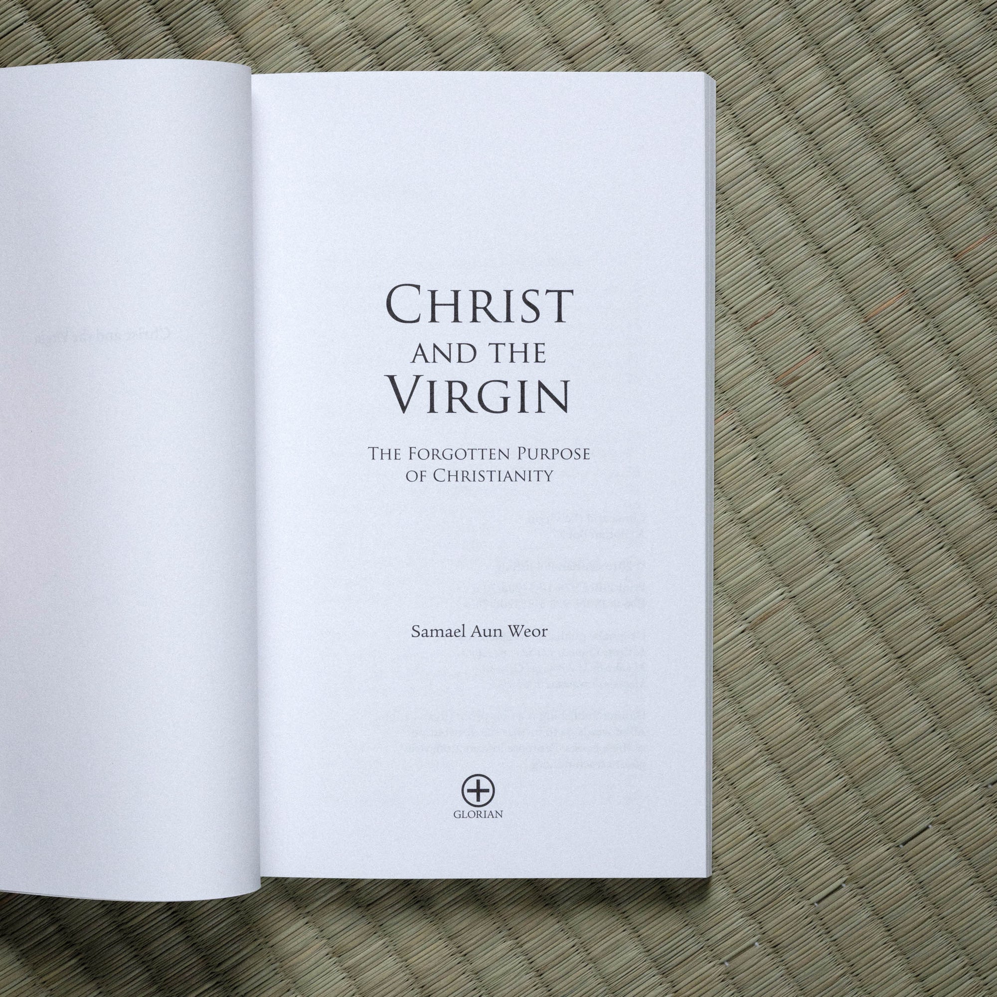 Christ and the Virgin