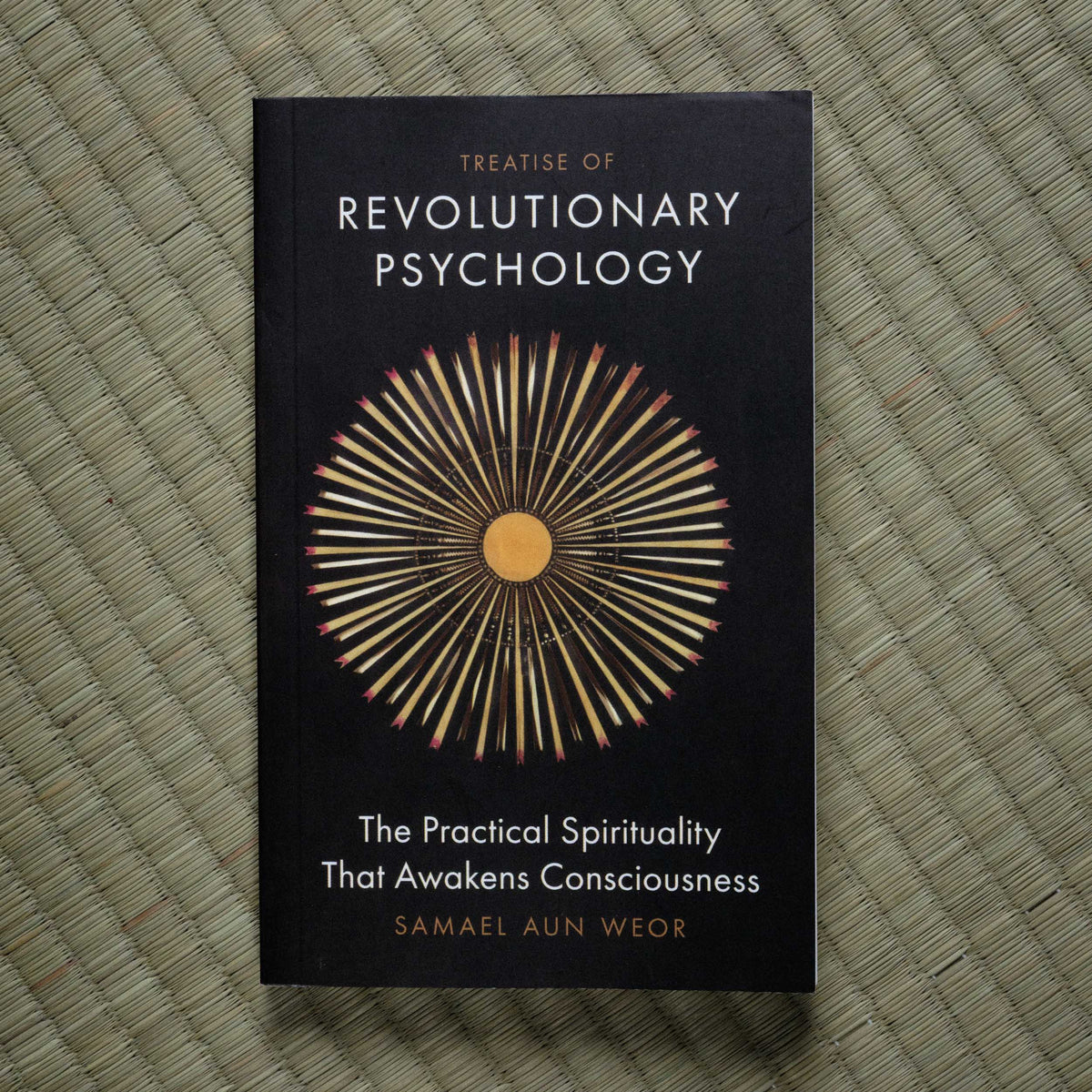 Treatise of Revolutionary Psychology