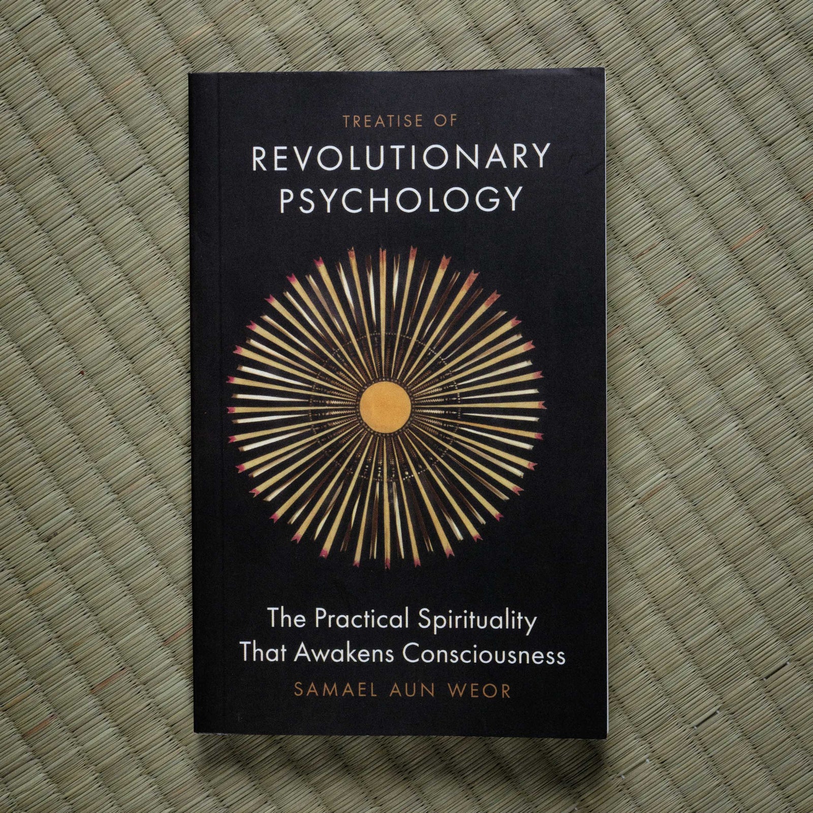 Treatise of Revolutionary Psychology