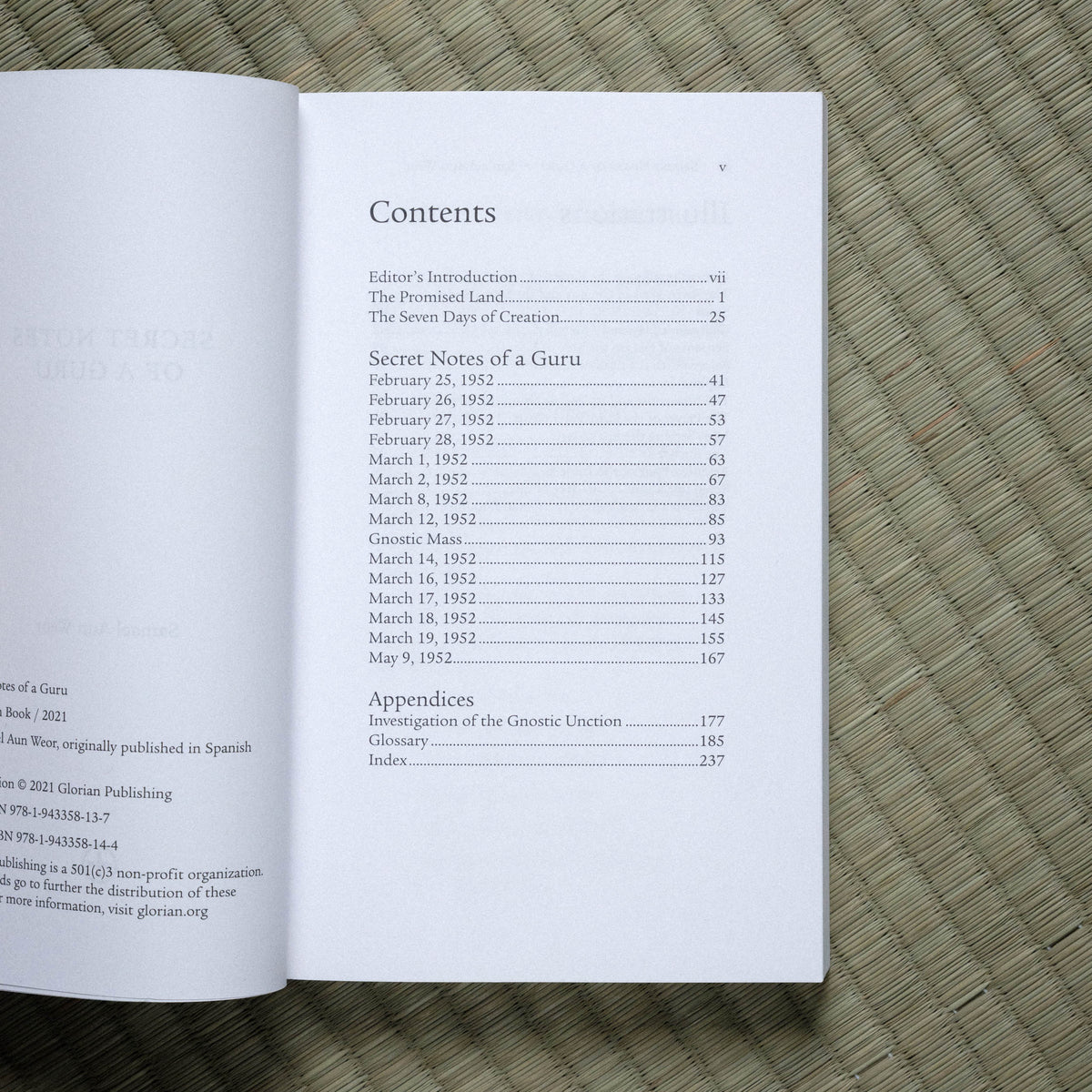 Secret Notes of a Guru