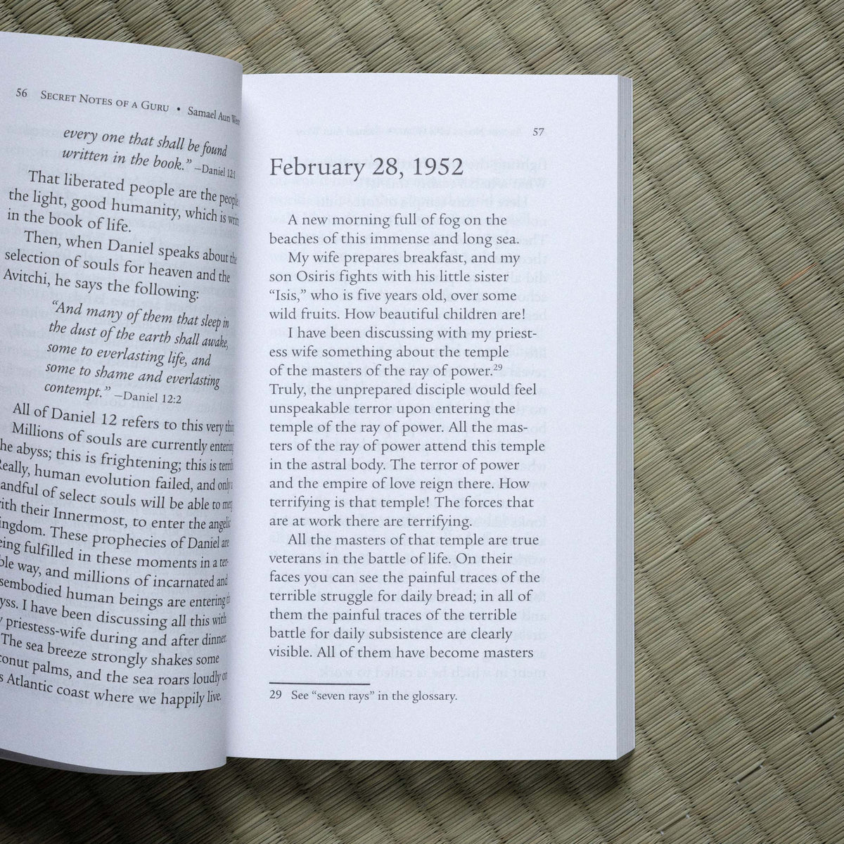 Secret Notes of a Guru