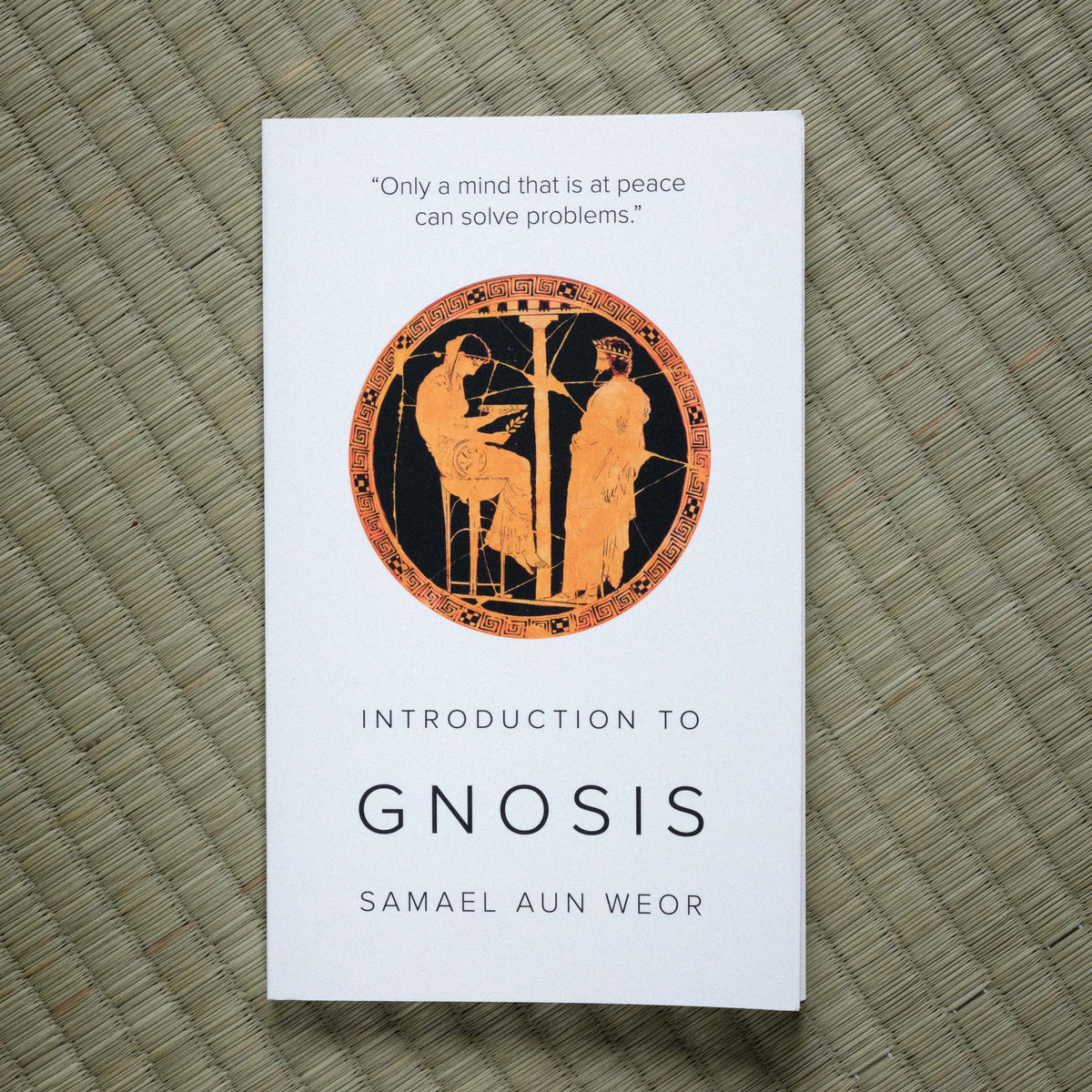Introduction to Gnosis