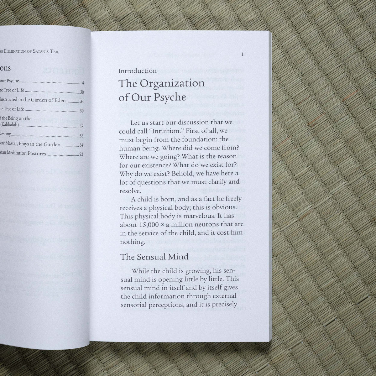 Elimination of Satan’s Tail