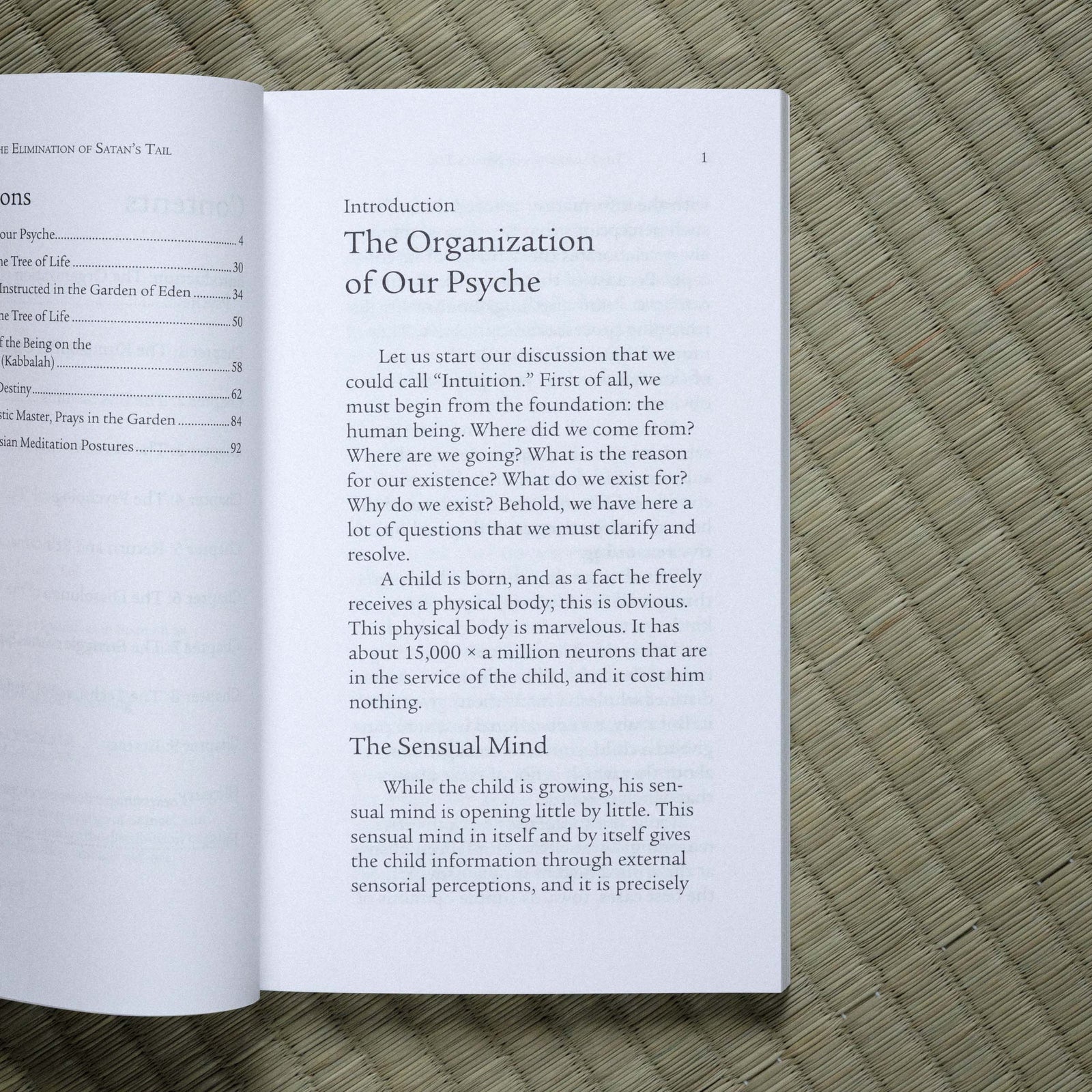 Elimination of Satan’s Tail