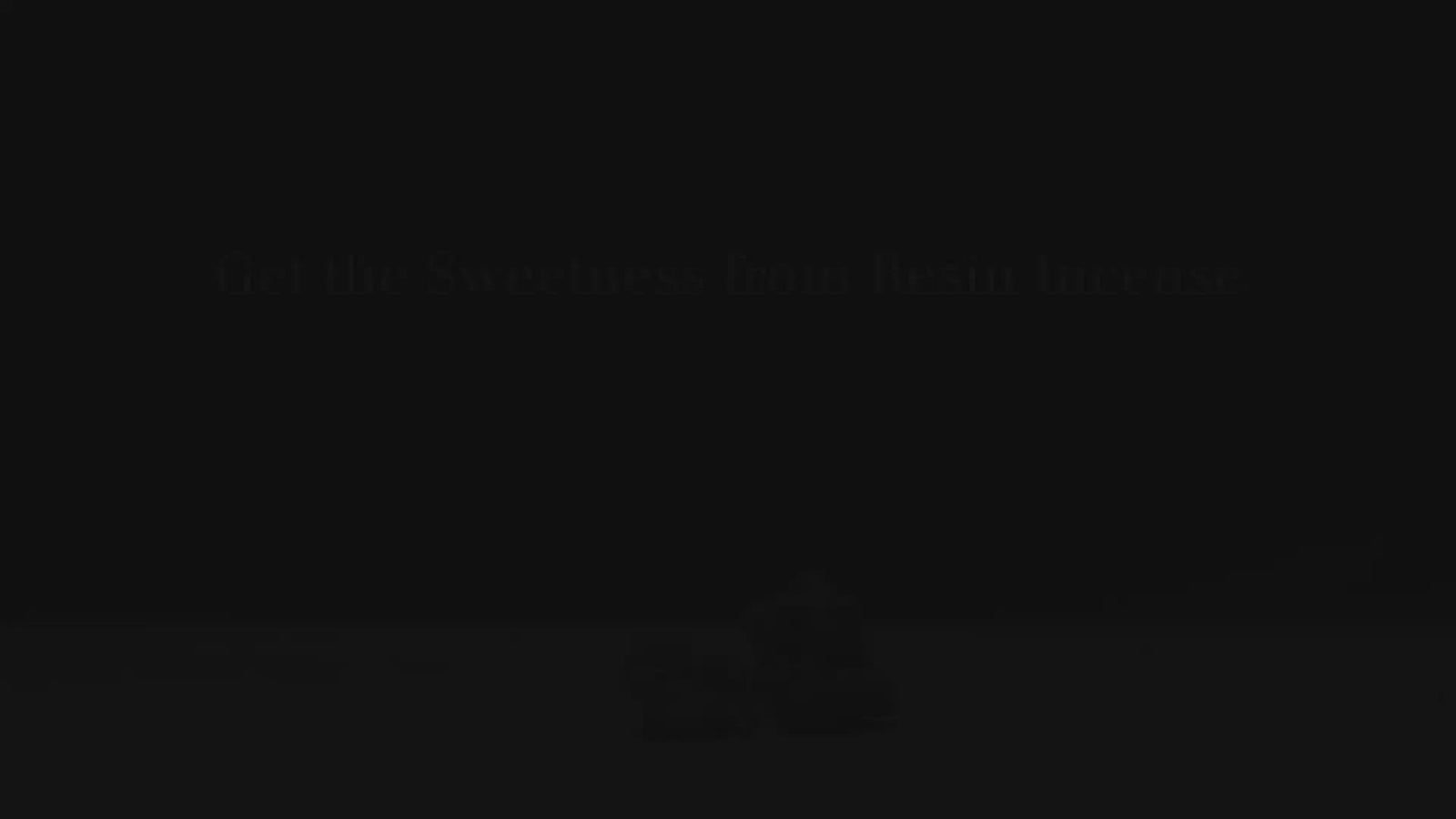 Frankincense Resin Incense: First Grade Black (Boswellia neglecta from Ethiopia)