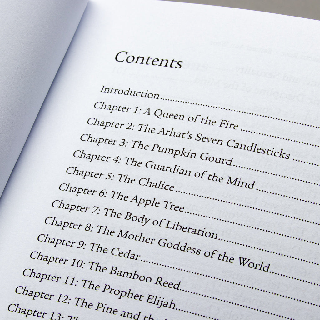 A contents page from Igneous Rose reveals chapter titles such as A Queen of the Fire, The Arhat’s Seven Candlesticks, The Pumpkin Gourd, and The Guardian of the Mind, exploring themes of clairvoyance and meditation. The page has a slight curve with a shadow on the upper left.