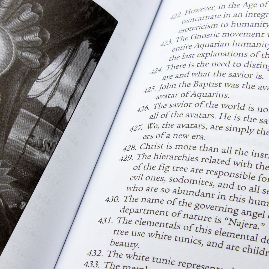 A close-up of a book page from Igneous Rose displays passages numbered 422 to 432, accompanied by a grayscale illustration. The text explores avatars, Christ, hierarchies, and elements while incorporating meditation and clairvoyance for deeper insight.