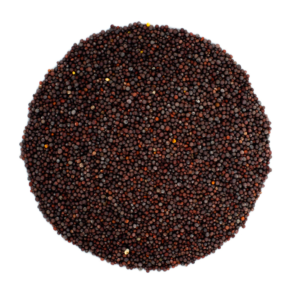 A pile of Black Mustard Seeds, Organic, against a white background features small, round seeds densely packed together, creating a textured surface some believe offers psychic protection.