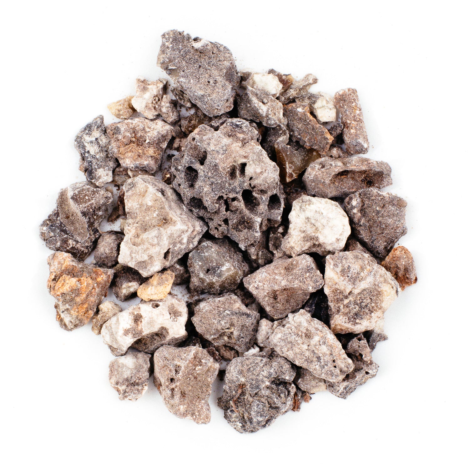 A small cluster of lightweight, irregularly shaped, porous pumice stones in gray and brown shades on a white background resembles the varied tones of Black Copal Resin Incense (Protium copal, Burseraceae). Their rough texture and natural charm make them perfect for space cleansing.