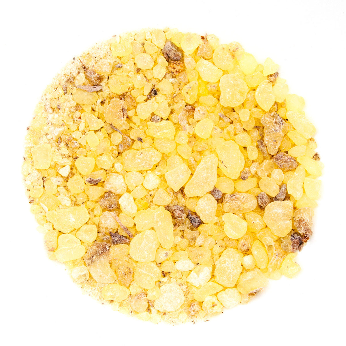 Gold Copal Resin Incense (Protium copal, Burseraceae) pieces form a rough yellow circle on white, with varied sizes and occasional brown edges, offering a textured natural look perfect for incense or spiritual cleansing.