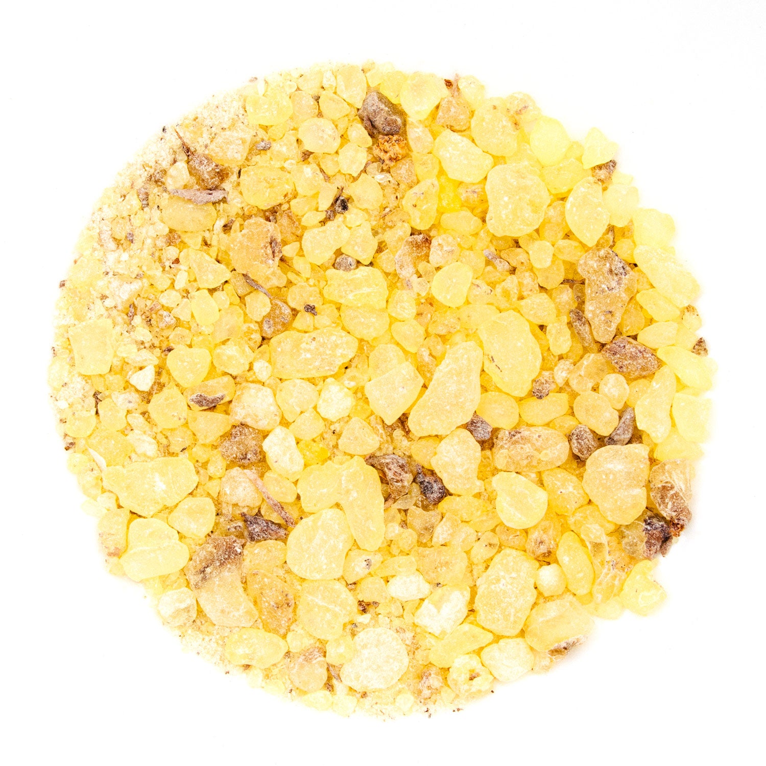 Copal Resin Incense, Gold (Protium copal, Burseraceae)