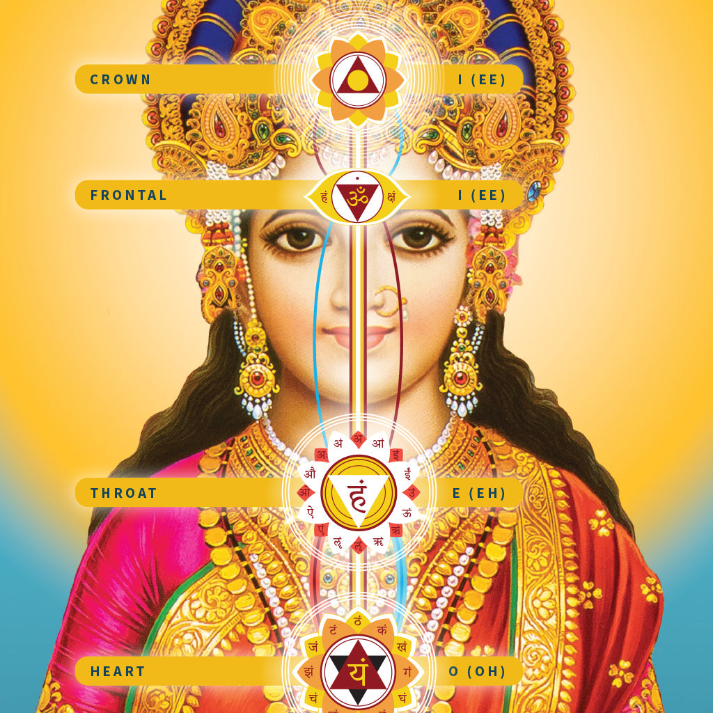 Chakra Poster (Detail) by Glorian Publishing