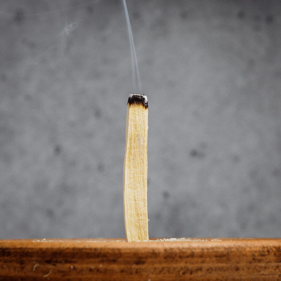 Palo Santo Sticks from Ecuador