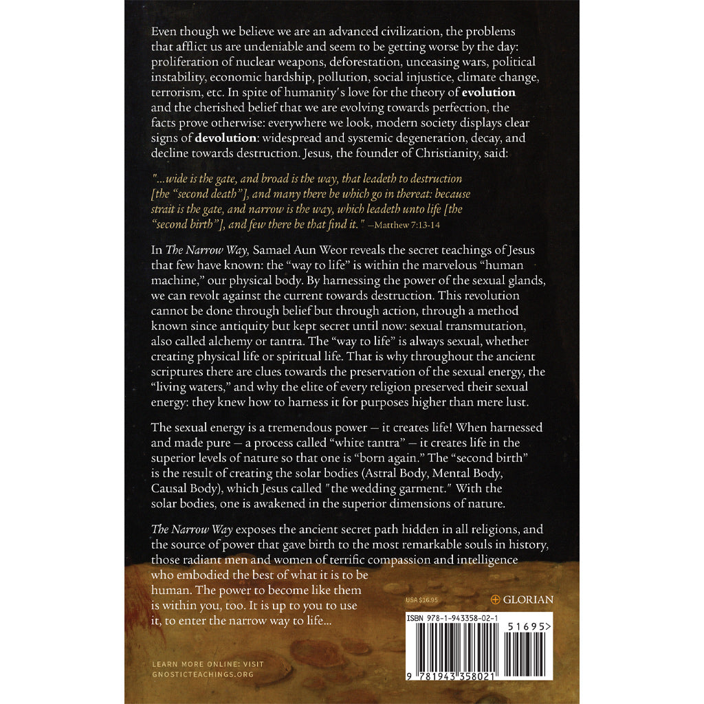 The back cover of Narrow Way stands out against a black backdrop with striking white and yellow text, exploring humanitys challenges by intertwining Jesus teachings with insights on moral decline, technology, and spiritual life during todays global crisis. Includes ISBN details.